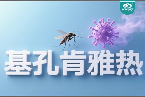 基孔肯雅熱疫情升級！新芝生物硬核技術助力病毒精準診斷