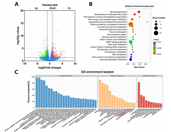 實(shí)驗(yàn)數(shù)據(jù)
